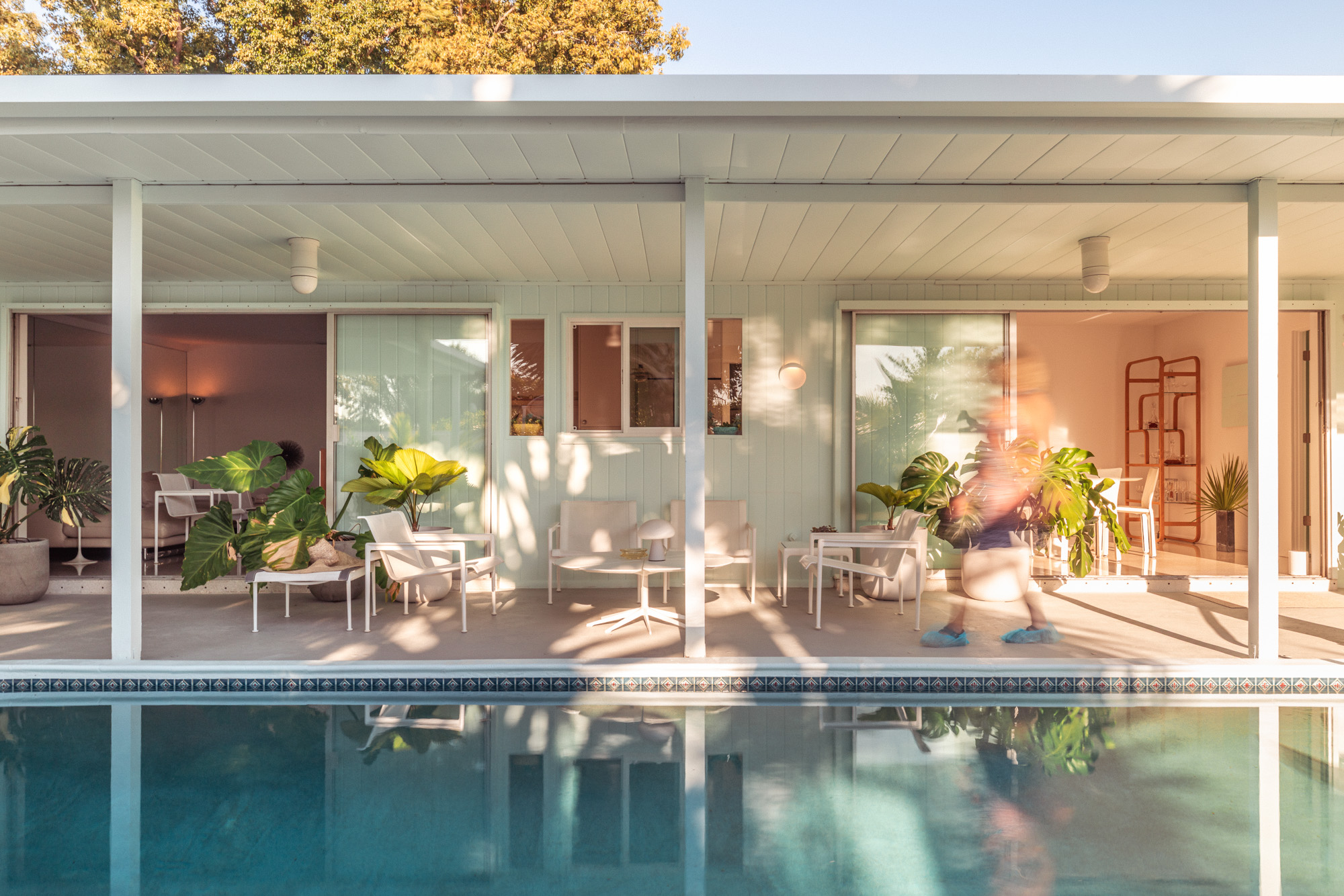 Sarasota 100: Guided & Self-Guided Tours - 7